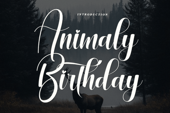 Animaly Birthday Font for Elegant Branding
