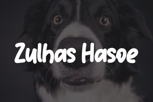 Zulhas Hasoe: Elegant Script Typeface for Web Design